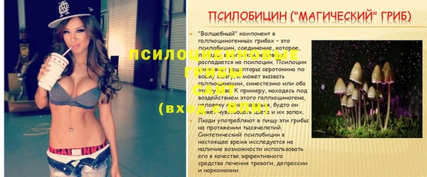 MDMA Premium VHQ Весьегонск