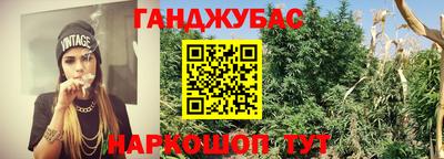гашик Абакан