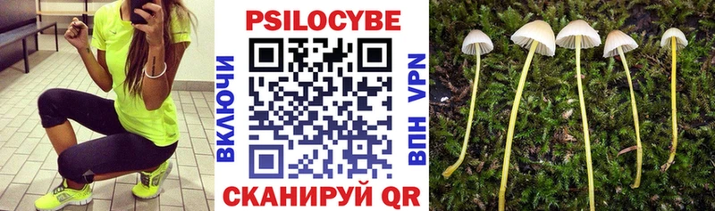 сколько стоит  Алатырь  blacksprut зеркало  Галлюциногенные грибы Magic Shrooms 