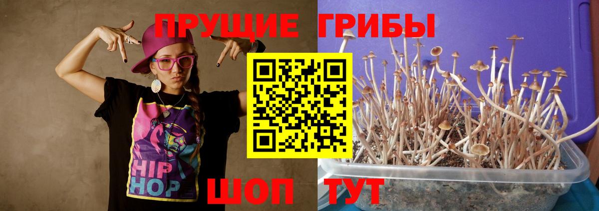 Псилоцибиновые грибы мицелий Алатырь