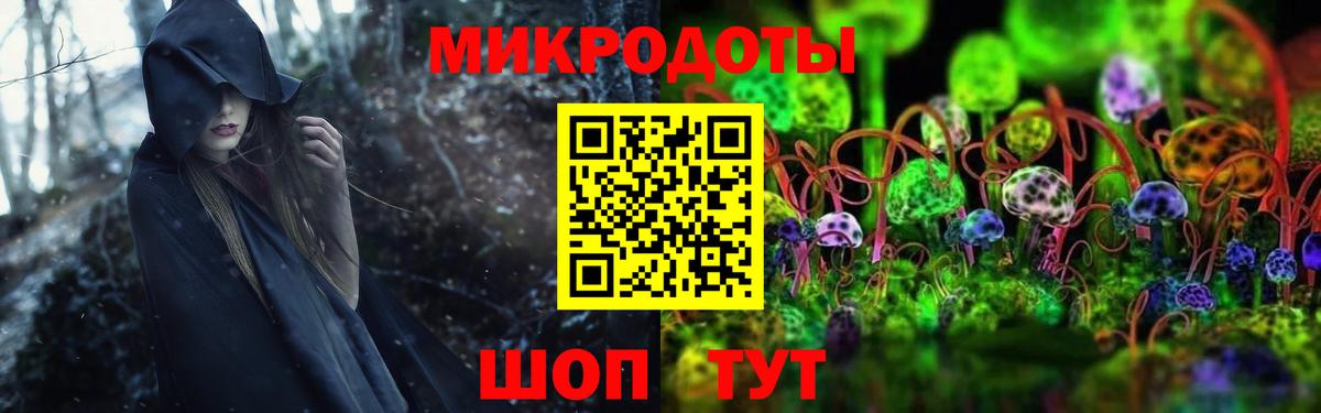 Галлюциногенные грибы мухоморы  Алатырь  Галлюциногенные грибы Psilocybine cubensis 